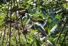 Mount Lloydorganic-gardening-3.jpg; ?>