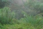 Mount Lloydorganic-gardening-8.jpg; ?>